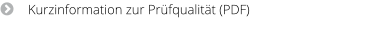 Kurzinformation zur Prüfqualität (PDF)